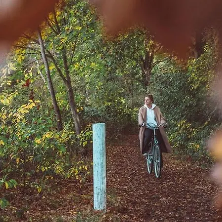 Resort Trinity 12 People *