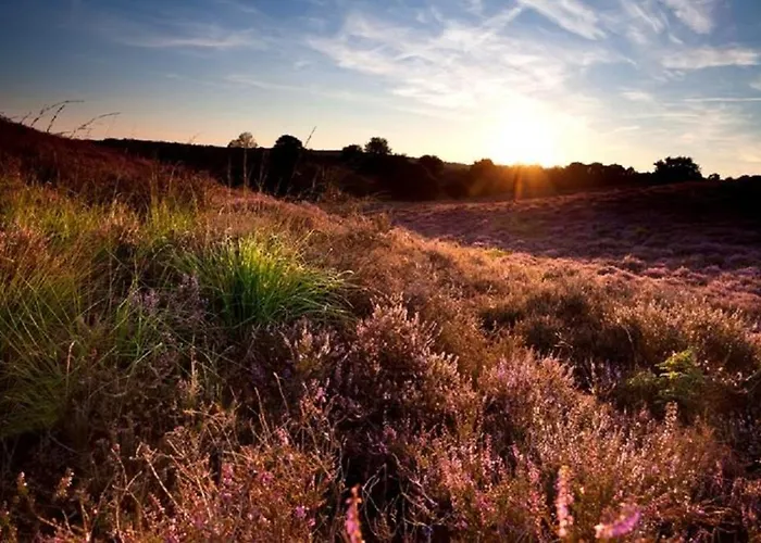 Trinity 12 People Resort *