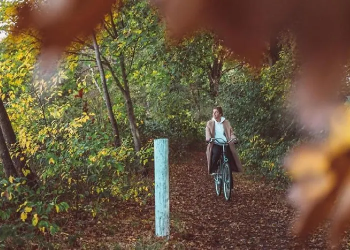 Resort Trinity 12 People *