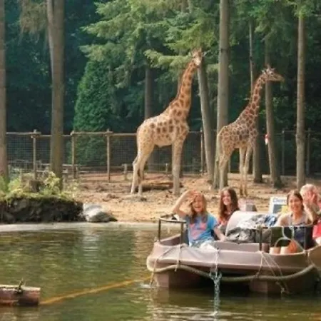 Trinity 12 People אתר נופש