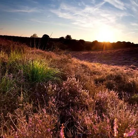 Trinity 12 People אתר נופש *