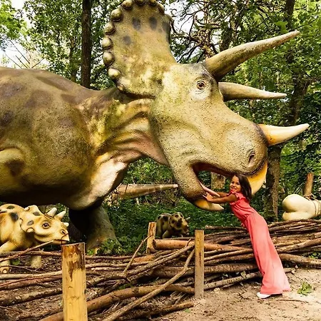 Trinity 12 People פורטהאוזן