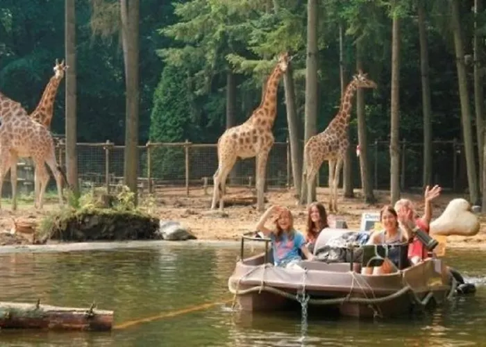 Trinity 12 People Resort