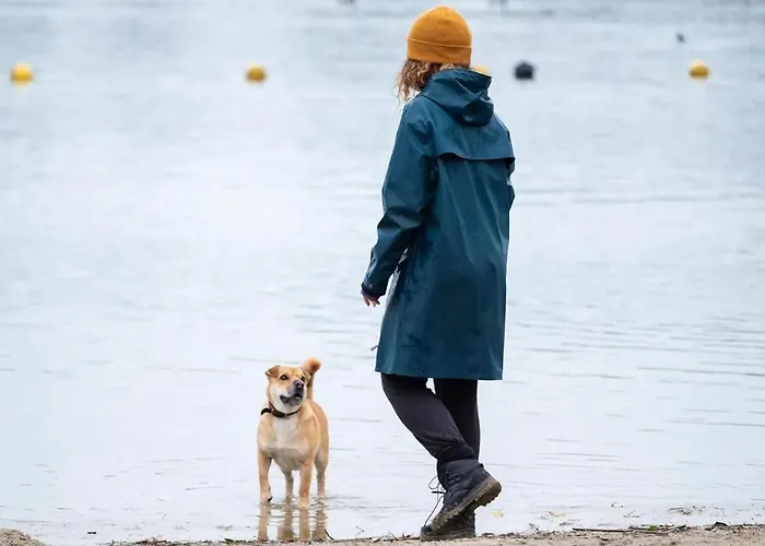 Trinity 12 People Resort Voorthuizen