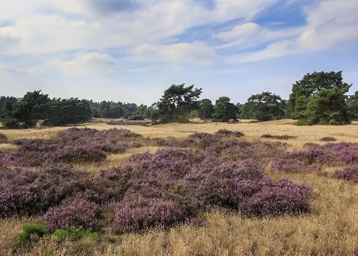 Trinity 12 People * Voorthuizen