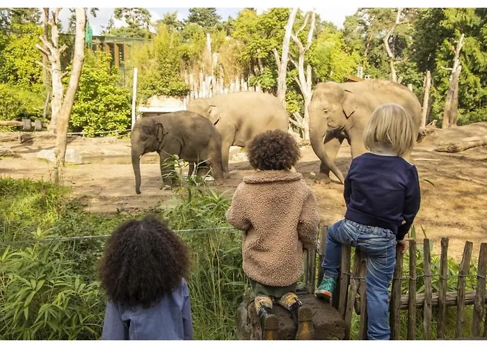 Trinity 12 People Resort